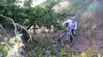 IMG-20121206-WA0014.jpg