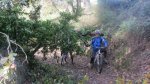 IMG-20121206-WA0015.jpg