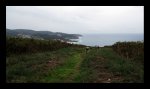 IMG_0012.jpg