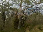 2012-12-07_17-06-46_641.jpg