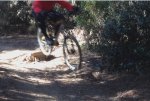 SALTO.jpg