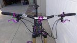 DSC09781.jpg