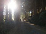 DSC_0015.jpg