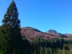 DSC_0018.jpg