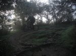 IMG_0176.JPG