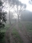 IMG_0181.JPG