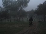 IMG_0183.JPG