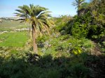 DSCN4039.jpg