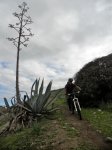 DSCN4047.jpg