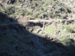 IMG_1498.jpg
