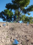 CIMG3558 (Copiar).JPG