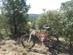 2011-08-07 11.09.06.jpg