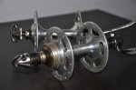 dsc0239da.jpg