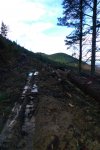 P1140650a.jpg