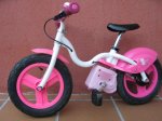 BICI 1.JPG