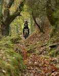 OSCOS  BTT (2).jpg