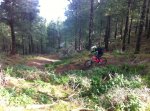 IMG-20121208-WA0007.jpg