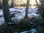 1702643_full.jpg