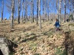 IMG_0310.JPG