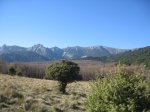 IMG_0348.JPG