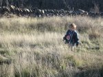 IMG_0370.JPG
