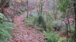 IMG_3801.JPG