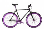 polo-and-bike-nigra1.jpg