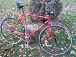 IMG_20121111_173344.jpg