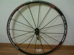 ruedadelanteracampagnol.jpg
