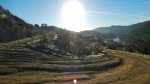 DSCN7523.jpg