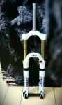 IMAG0538-1.jpg