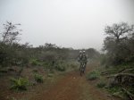 DSCN4097.jpg