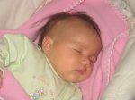 IMG_3380 [800x600].JPG