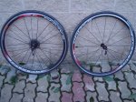 DSC04884.JPG