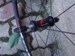 DSC04889.JPG