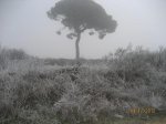 IMG_2434.JPG