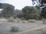 IMG_2436.JPG