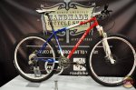 Ritchey-P29er.jpg