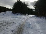 07122012056_1024_768.jpg