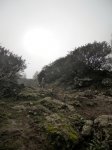 DSCN4115.jpg