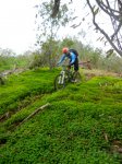 DSCN4129.jpg