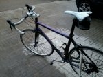 IMG-20121213-WA0005.jpg