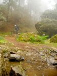 DSCN4112.jpg