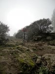 DSCN4116.jpg