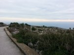 20121214_104647 [800x600].jpg