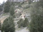 FCaÃ±on.jpg