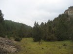 ICaÃ±on.jpg