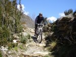 boi-taull 009.jpg