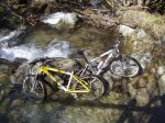 boi-taull 010.jpg