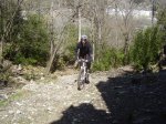 boi-taull 016.jpg